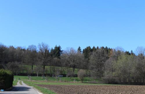 Am Barthelwald - Photo 11