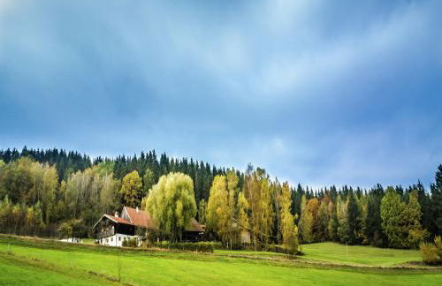 Ferienhaus in Konzell mit Terrasse - Foto 18