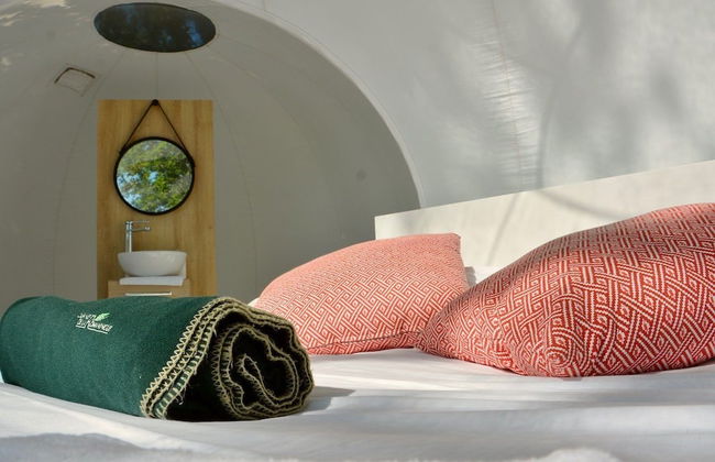 Cabanes de la Romaningue - Foto 11