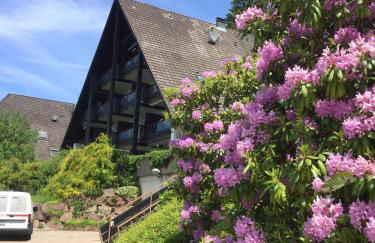 On the hill - Foto 11