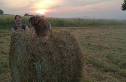 Fewo Rheinwein 1 "ausgezeichnet zum wandern und radfahren" mit Wallbox - Foto 32