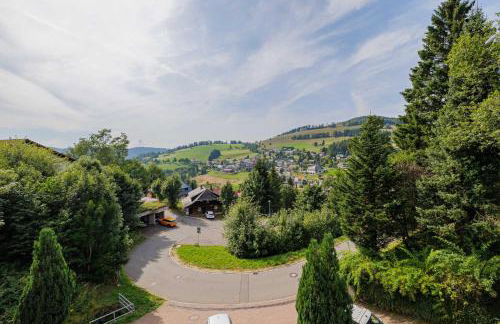 Fewo Waldgeflüster Urlaub im Wanderparadies mit Sauna im Haus Panoramabalkon - Foto 3
