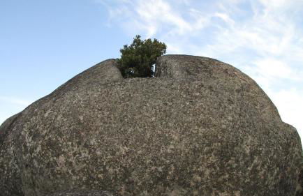 Quinta d'Abegoa - Photo 78