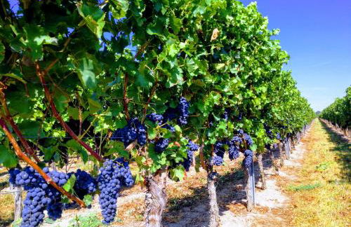 Privatwohnung Rybczynski - Foto 12