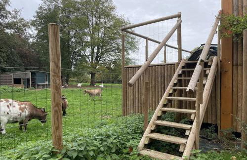 Le Cabanon - Foto 18