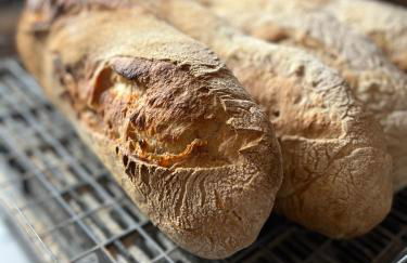 Casa Rural Basiver - Habitación Braña de Los Tejos - Photo 11