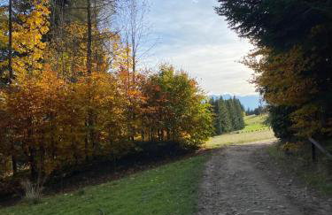 Apartament w górach Gorce - Foto 41