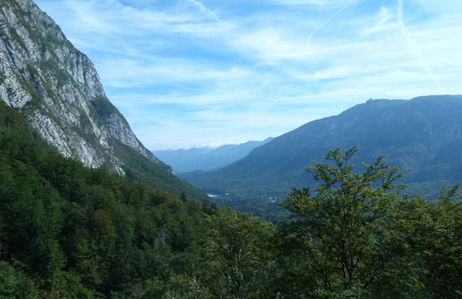Balmy Apartment in Bohinjsko Jezero near Lake - Foto 32