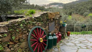 Quinta Castanheiro da Penha - Alegrete - Portalegre - Alentejo - Foto 4