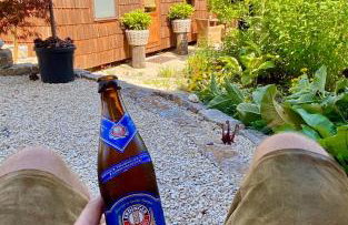 Tiny House Igluhut - Foto 19