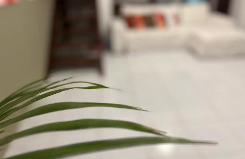 Villa Caju Knots - Photo 51