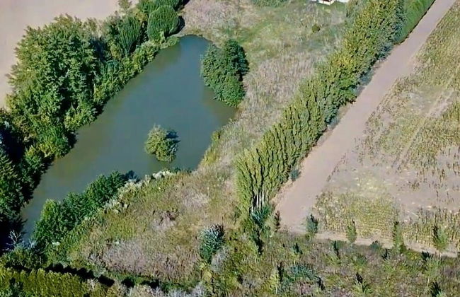 Le Moulin Saint-Nicolas - Foto 19