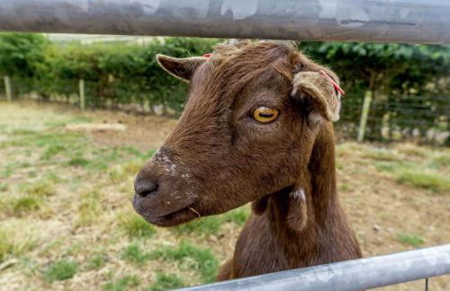 3 Bed in St. Andrews oc-88420 - Foto 17