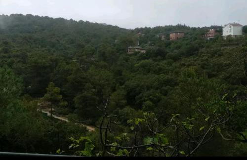 Increíble Casa Rural en la Sierra de Altomira Piscina privada y Barbacoa - Foto 40