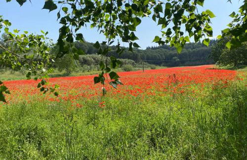 La Petite Maison - Foto 39