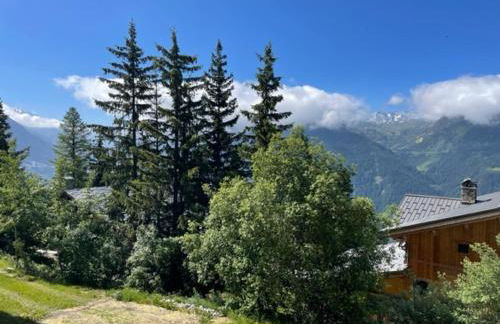 Le 1954 La Rosière - Foto 46