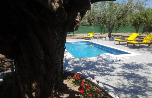 Olive Sense Villa with jacuzzi and sauna - Foto 32