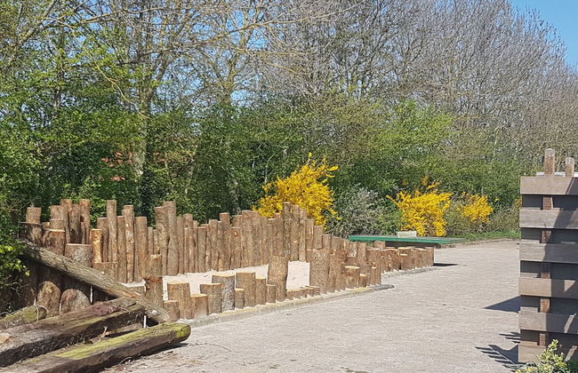 Aan de Waterspiegel - Photo 38