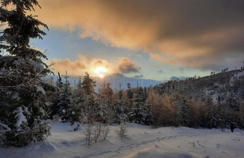 Domek Nasze Miejsce - Foto 8