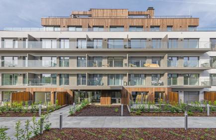 Sand Dunes, Sun & Snow - Foto 80