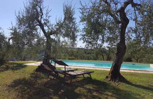 Agriturismo Le Querce - Foto 8