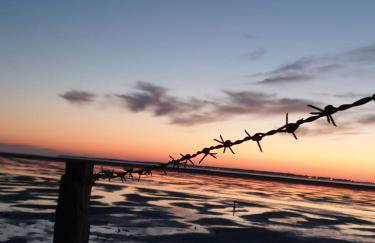 HaRe Ferienwohnungen - Foto 24