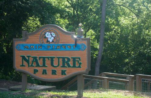 Mountain Over Main Street 5 Min. to Downtown Weaverville, Fire Pit & Views! - Foto 41