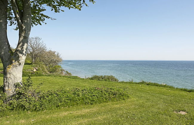 "Helena" - 250m from the sea - Foto 24