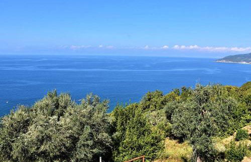 Il panorama del cilento - Foto 22