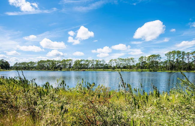 Swiss 14 - Lake Stephanie - Foto 2