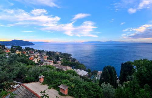 Il sogno del capitano - Photo 27