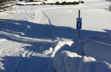 Apartmán Frauenberg - Haidmühle - Foto 25