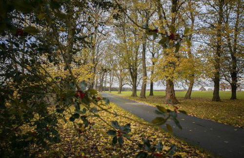 Walshford Lodge - Foto 13