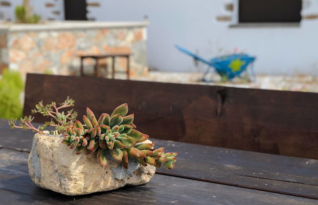 Traditional Apartments Madares - Foto 40