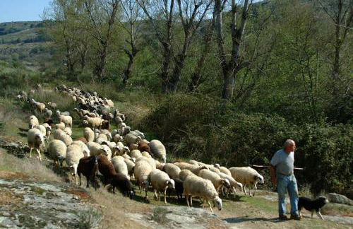Casa do Moleiro - Foto 44