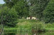 1 Barge Cottage - Foto 33