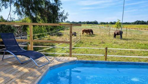 Familienfreundliche große Ferienwohnung mit Pool & Pferden - Spielplatz direkt am Haus - Foto 3