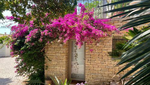 Au rythme des cigales - Foto 3, Garden