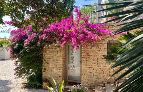 Au rythme des cigales - Foto 3