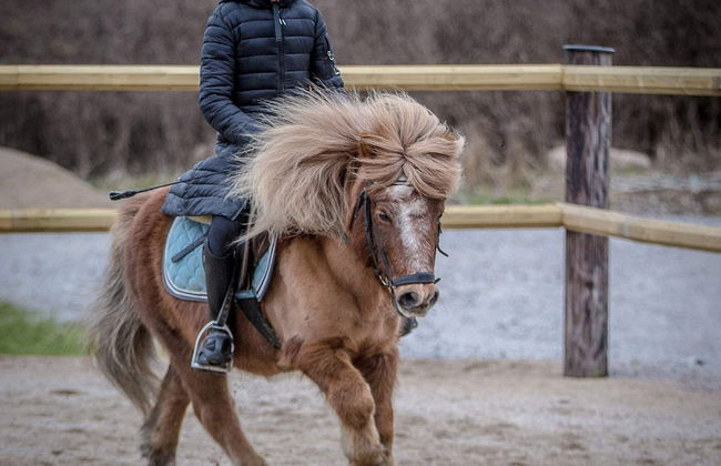 7 Person Holiday Home in Karlskrona - Photo 9