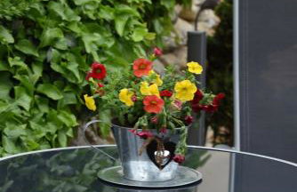 Ferienappartement Balik - Foto 7