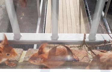 Ferienwohnungen Auf der Düne - Foto 17