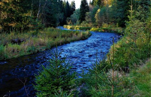 Ferienwohnungen Ludwigsthal - Foto 31