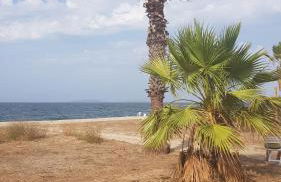 Residenza Bottego Pineta - Foto 42