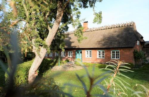 Reetdachkate Fuchsgraben - naturnah & stilvoll mit Wald-Sauna - Foto 56