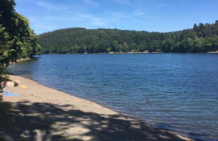 Ferienhaus an der Lister - Foto 23