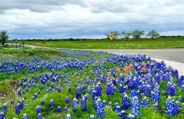 El Castellito on the Llano River - 4 Bed House - Foto 21