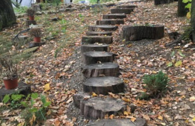 Agnessa Impeccable 1-bed Cabin - Foto 26