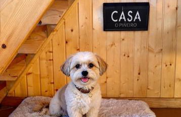 CASA O PIÑEIRO - Foto 4