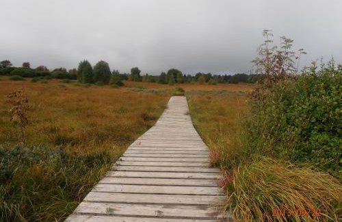 Ferienwohnung Peters - Foto 23
